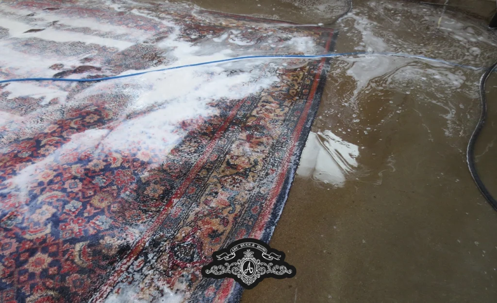 rug cleaning service
