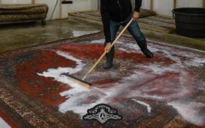 Professional Rug Cleaning Near Me